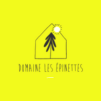 Logo Domaine les Epinettes
